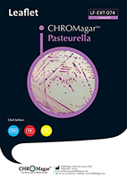 CHROMagar Pasteurella, 5000 ml